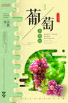 葡萄图片