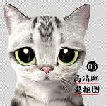 猫头