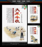 大米