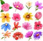 多款花朵素材图