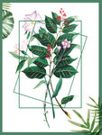 画册背景