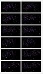 粒子星光旋转万花筒vj视频婚礼