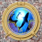 海底世界海豚3D海洋天顶