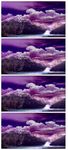 唯美梦幻朦胧光点光晕转场LED