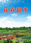 花卉超市背景