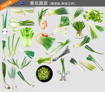 葱花蔬菜