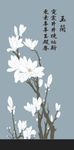 玉兰花 玄关图案 硅藻泥图案