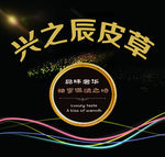 皮草 皮具 高档 大气 海报