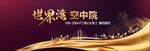大桥 城市 大湾区