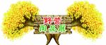 野营 秋游 银杏树