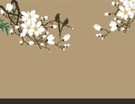 玉兰花 玉兰花矢量 花鸟壁纸