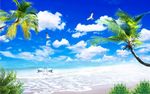海景椰子树电视背景墙