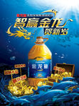 海地宝藏海报