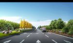 景观道路设计