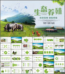 生态养猪PPT