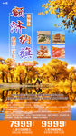 胡杨林