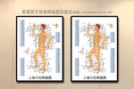 人体穴位侧面图