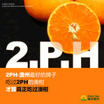 澳柑海报