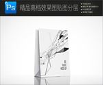 高档唯美意境VI样机一键贴图