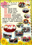 小学简介