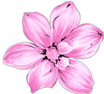 花卉