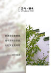 纳兰词图文