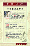 中医文化