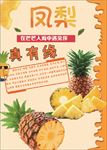 凤梨海报
