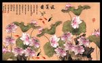 国画荷花