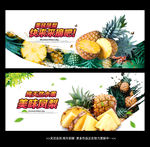 凤梨
