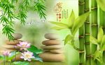 家和富贵竹子荷花图