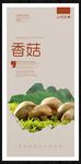 香菇