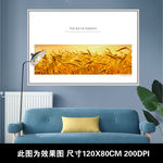 金色麦穗装饰画