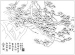 玉兰