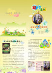 小学生精彩暑假实践作业