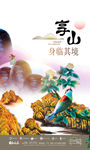 身临其境