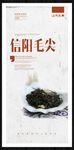 信阳毛尖