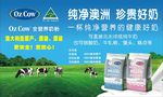 ozcow金可澳