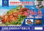 鱿鱼海报