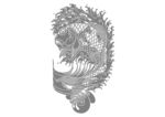 鱼