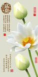 荷花玄关