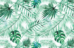 植物背景