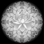 洋花