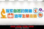 学校文化墙
