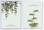 清新夏季植物树叶装饰画