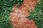 简约有种时光叫青春背景墙