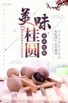 桂圆海报