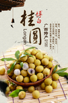 广西特产桂圆坚果零食干货海报