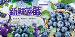 蓝莓采摘海报