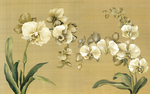 花卉背景